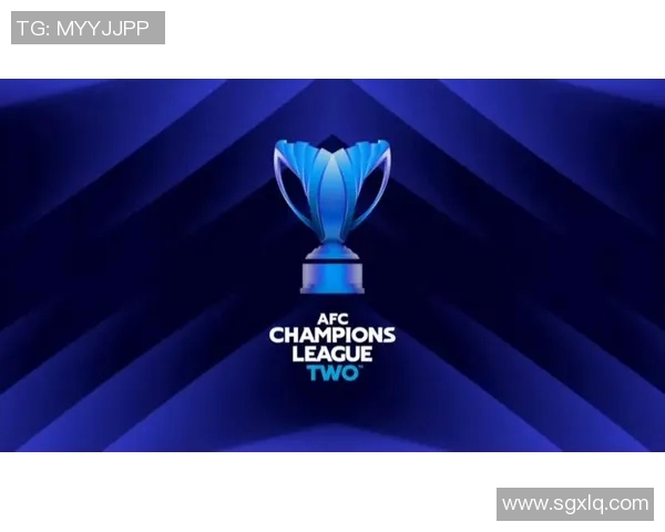 布赖代合作：推动全球经济复苏与可持续发展的新机遇与挑战