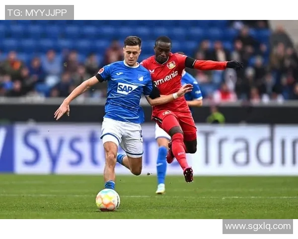 汉诺威主场战平霍芬海姆，德甲榜首争夺悬念延续