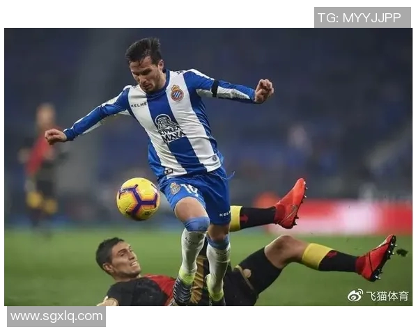 升班马生存报告：新晋球队在顶级联赛中的挑战与机遇分析